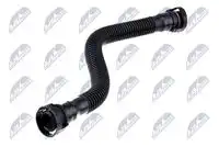 ПАТРУБОК ВЕНТ КАРТ ГАЗ BMW 1 (F20), 1 (F21), 3 (F30, ,F31, F80) N13 1.4I 1.6I 1.8I 2.0I 1 GPP-BM-119 NTY