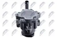 Насос гидроусилителя руля NTY SPW-FR-035