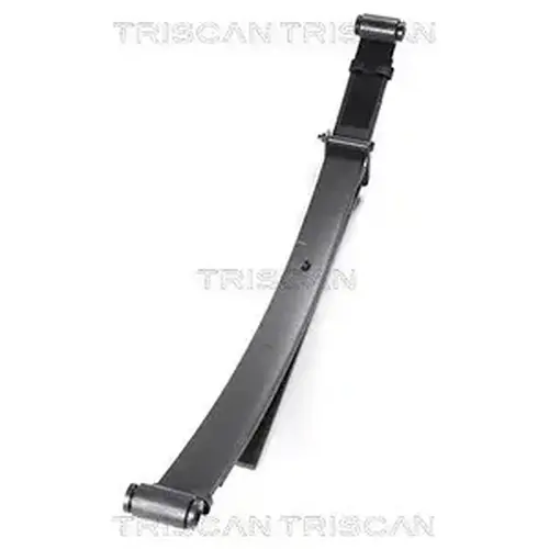 Рессора подвески TRISCAN 876 542 001