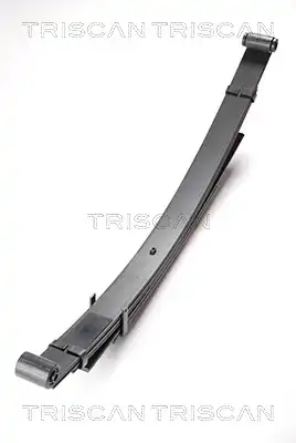 Рессора подвески TRISCAN 876 542 003