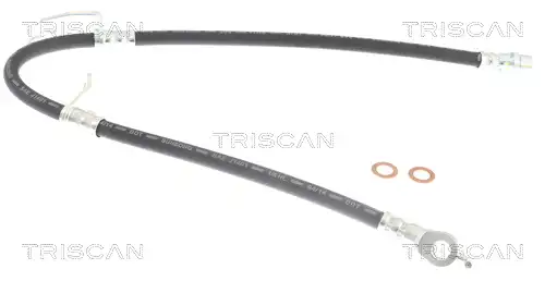 815013347 TRISCAN