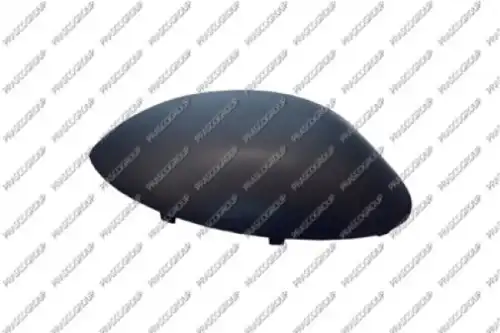 Покрытие, внешнее зеркало PG0097403 PRASCO