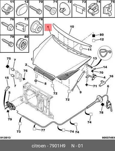 КАПОТ 7901 H9 PSA
