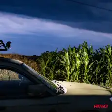 Деталь 02431 AMIO