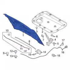 HOOD ASY M2DZ16612B FORD