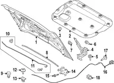 HOOD ASY M2DZ16612B FORD