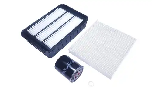 КОМПЛЕКТ ТО ЭКОНОМ RAF FILTER RT054E