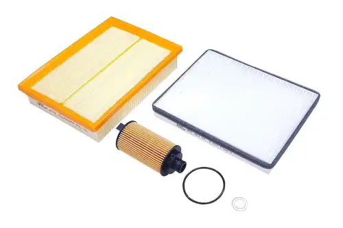 Комплект ТО эконом RAF Filter RT055E