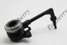 PARTBERRY PB152653