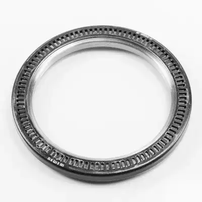 SK286004001 УПЛОТНИТЕЛЬНОЕ КОЛЬЦО СТУПИЦЫ