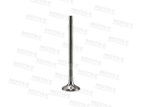 Выпускной клапан EV10029 MOTIVE