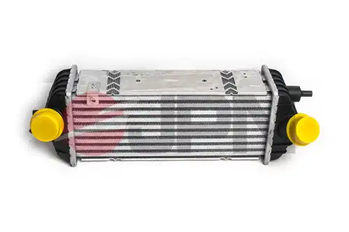 Интеркулер JPN 60C9303-JPN