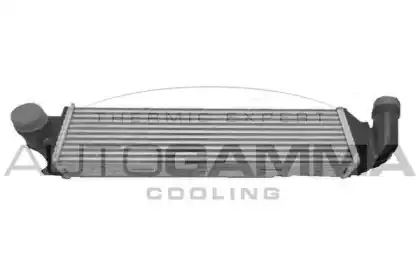 Интеркулер AUTOGAMMA 107617