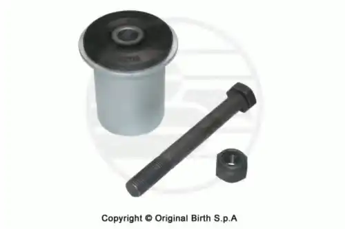 Рычаг подвески BIRTH 50012