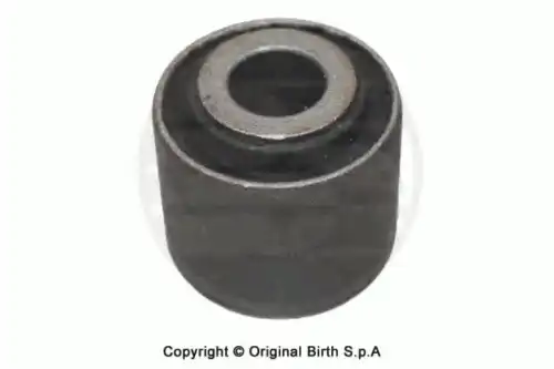 2123, САЙЛЕНТБЛОК BIRTH ИНДИЯ