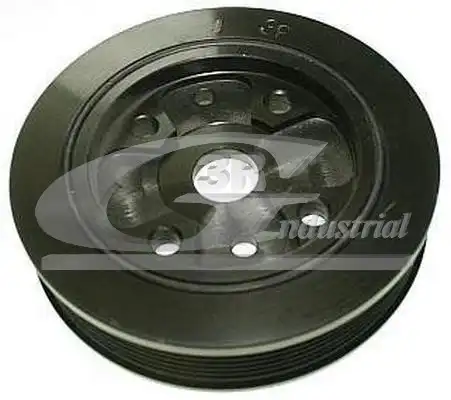 шкив коленвала Ren 10603 3RG