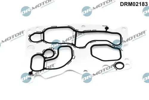 Прокладка, масляный радиатор DRM02183 DR. MOTOR