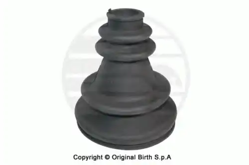 7036 BIRTH ПЫЛЬНИК ШРУСА