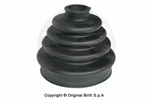  7253, ПЫЛЬНИК ШРУСА BIRTH ИТАЛИЯ