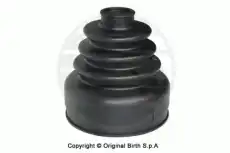 7254, ПЫЛЬНИК ШРУСА BIRTH ИТАЛИЯ