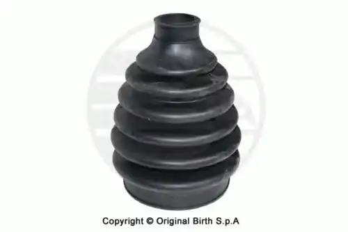 7258, ПЫЛЬНИК ШРУСА BIRTH ИТАЛИЯ