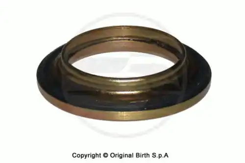 6260 Подшипник опорный BIRTH