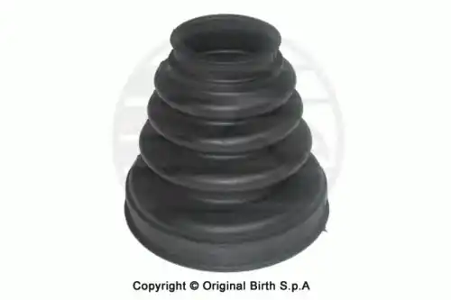 7341, ПЫЛЬНИК ШРУСА BIRTH, ИТАЛИЯ