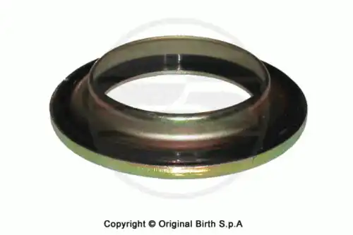 подшипник опоры амортизатора Ren 6266 BIRTH