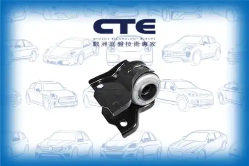 Рычаг подвески CTE CBH31017L