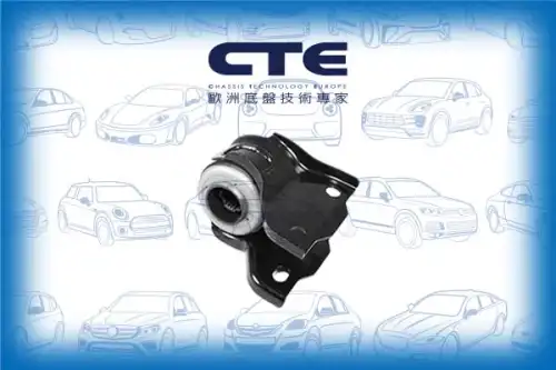 Рычаг подвески CTE CBH31017R