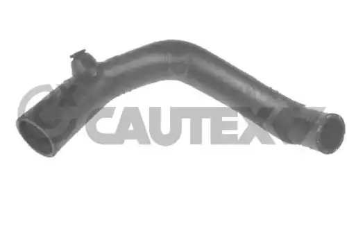 шланг тормозной задн. Hond 026329 CAUTEX