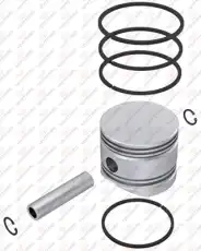 https://img.armtek.ru/img/article/721/72118246/230x230/72118246_0.webp