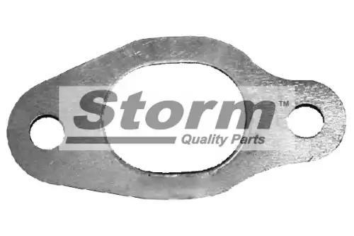 Прокладка коллектора STORM F2780
