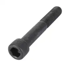 Винт AGCO V581705520