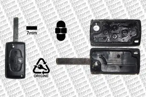 Автоключ ! \ 2989900 STORM