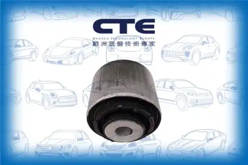 Рычаг подвески CTE CBH19042