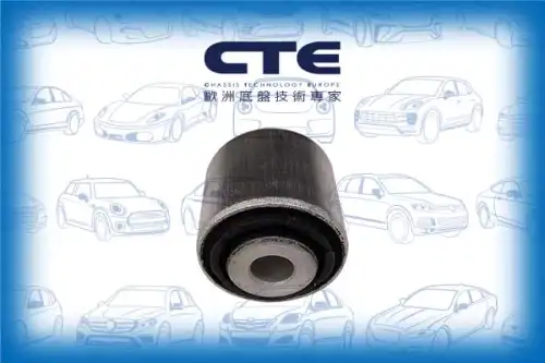 Рычаг подвески CTE CBH19043