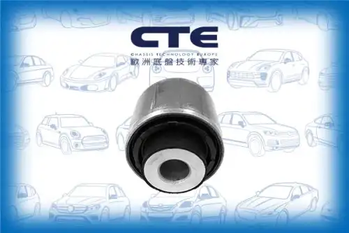 Рычаг подвески CTE CBH34018