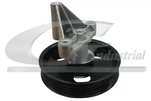 ролик натяжной генератора Ren 10655 3RG