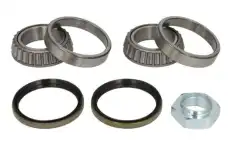 КОМПЛЕКТ ПОДШИПНИКОВ КОЛЕСА H1C010BTA BTA