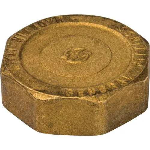 Заглушка 2' F STOUT SFT0026000002