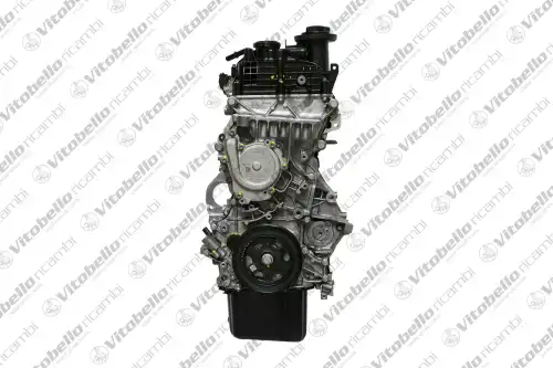 Двигатель в сборе 1005644R VITOBELLO RICAMBI