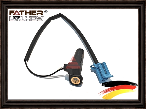 Датчик частоты вращения вала F0119S01 FATHER