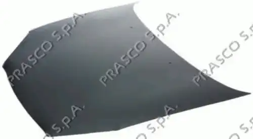 КАПОТ \ RENAULT CLIO (01-) RN3223100 PRASCO