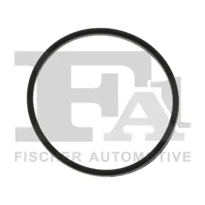 Уплотнительное кольцо 076.794.005 FA1