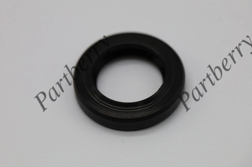 САЛЬНИК 20.00/30.00x5.00/5.20 ТИП 1PM PB563576 PARTBERRY