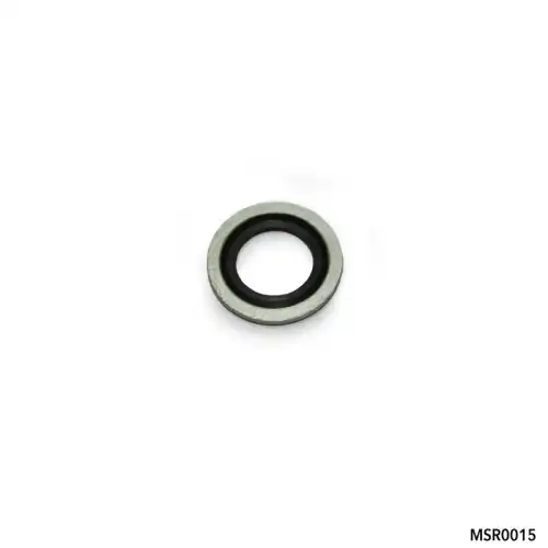 MSR0015 Кольцо уплотнительное AMR