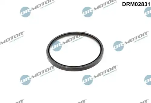 Уплотняющее кольцо, коленчатый вал DRM02831 DR. MOTOR
