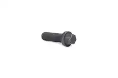 Болт T18473003 TOPCOVER