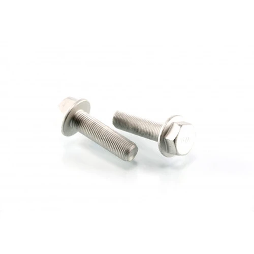 Болт суппорта M16x1 5х55 10 9 SK791001501 S&K